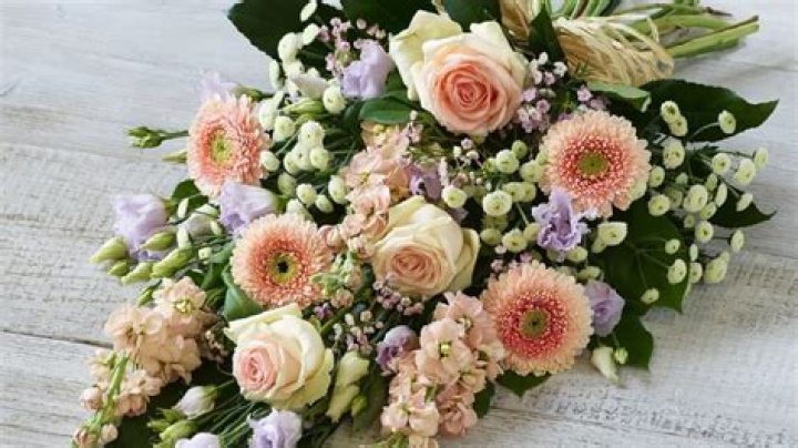 Deb Acker Obituary Death Cause And Family