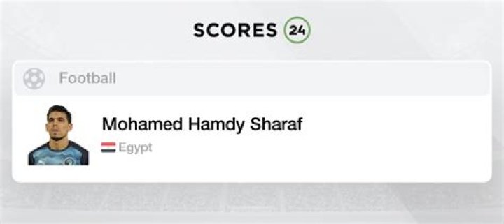 Mohamed Hamdy Sharaf