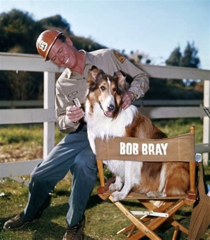 Robert Bray