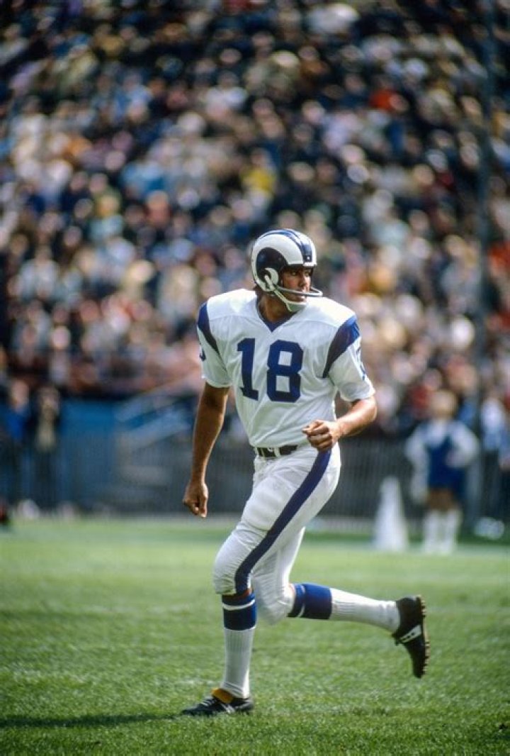 Roman Gabriel